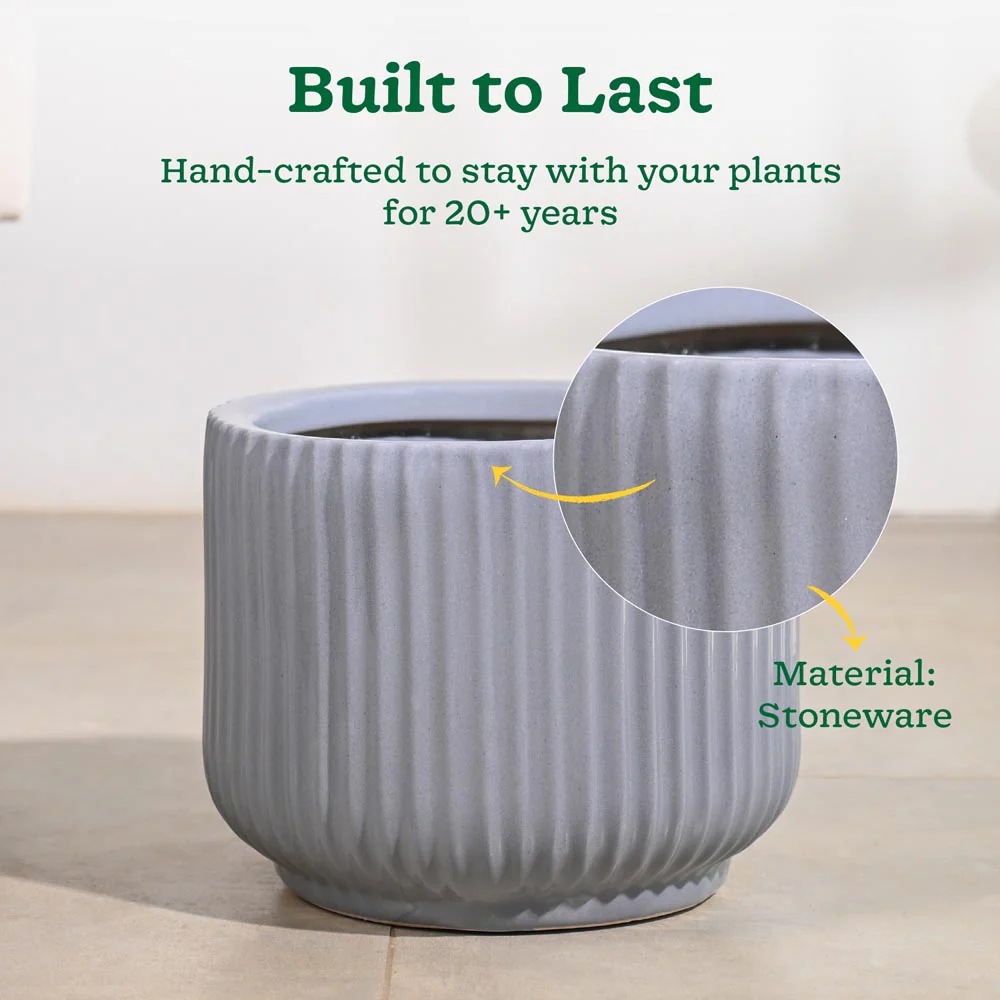Phoenix Ceramic Pot (12.5 Inch Diameter) - Image 4