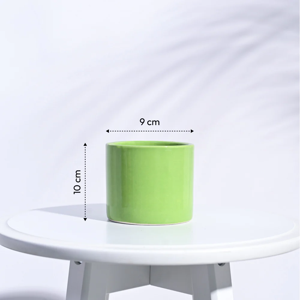 Pipe Ceramic Pot (3.8 Inch Diameter) - Image 11