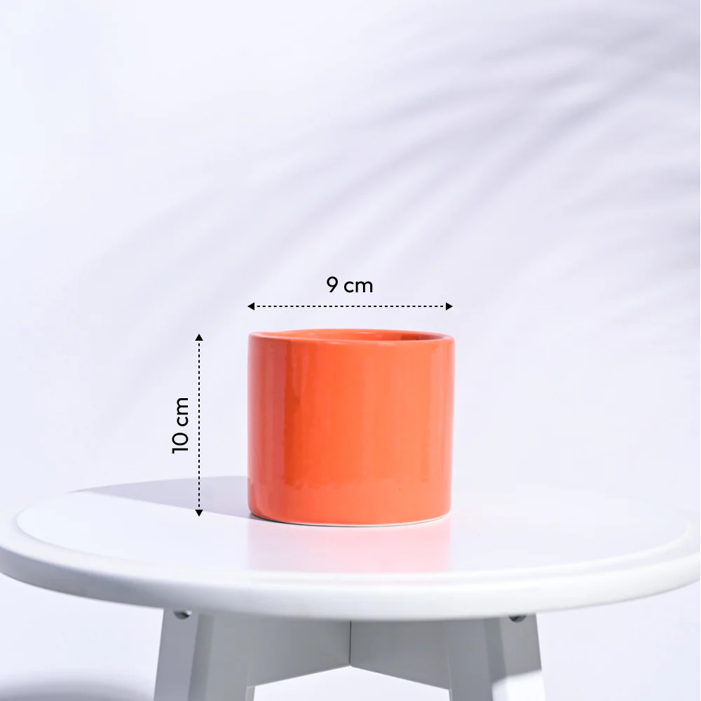 Pipe Ceramic Pot (3.8 Inch Diameter) - Image 15