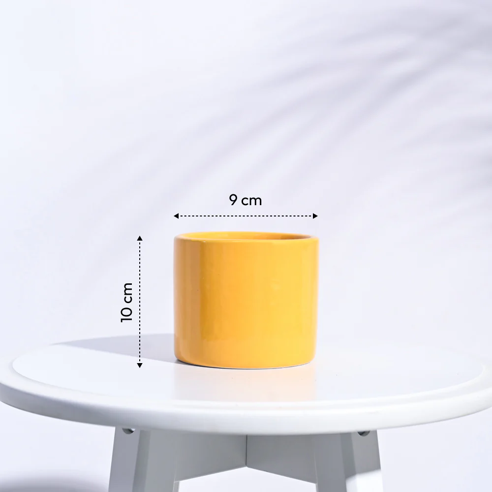 Pipe Ceramic Pot (3.8 Inch Diameter) - Image 23