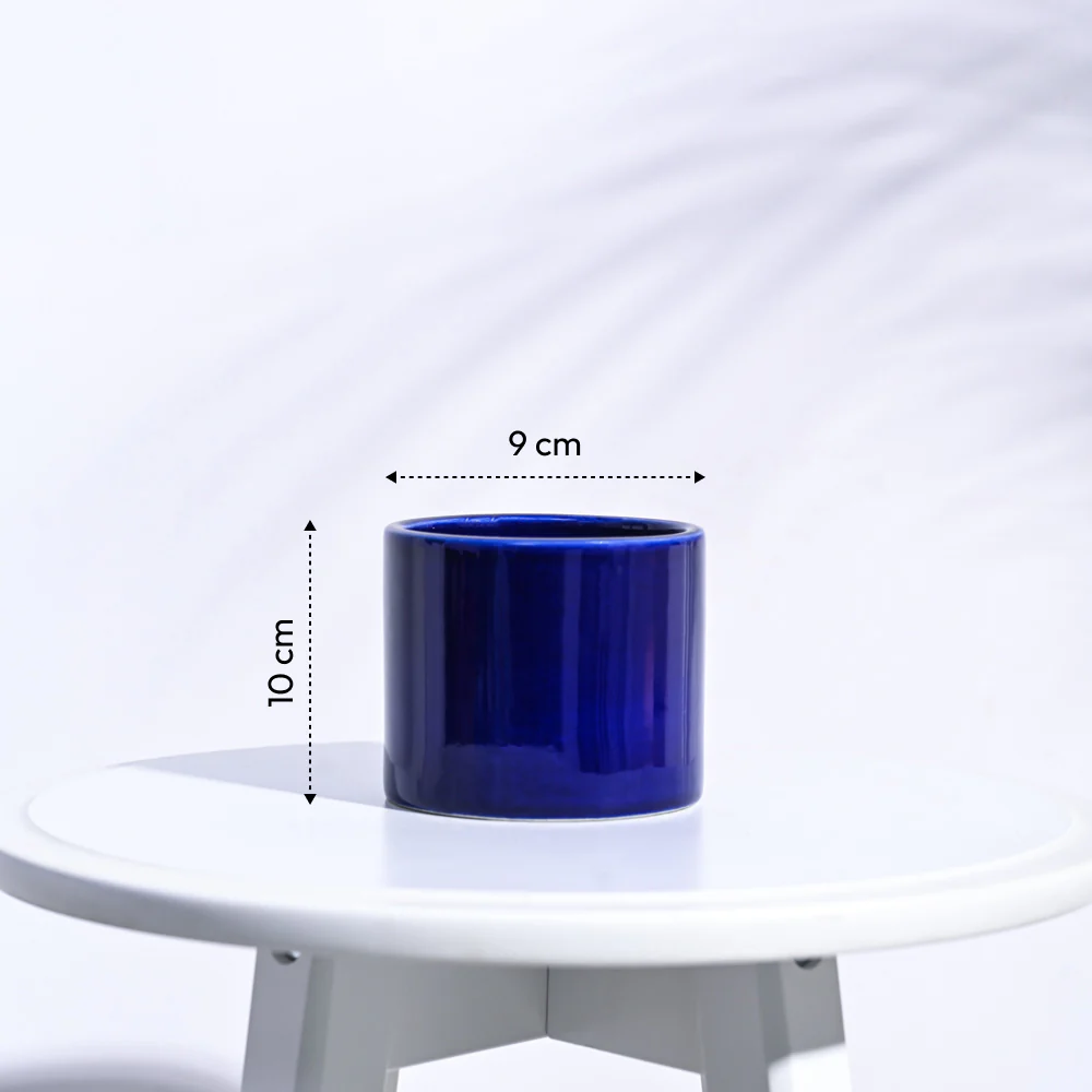 Pipe Ceramic Pot (3.8 Inch Diameter) - Image 7