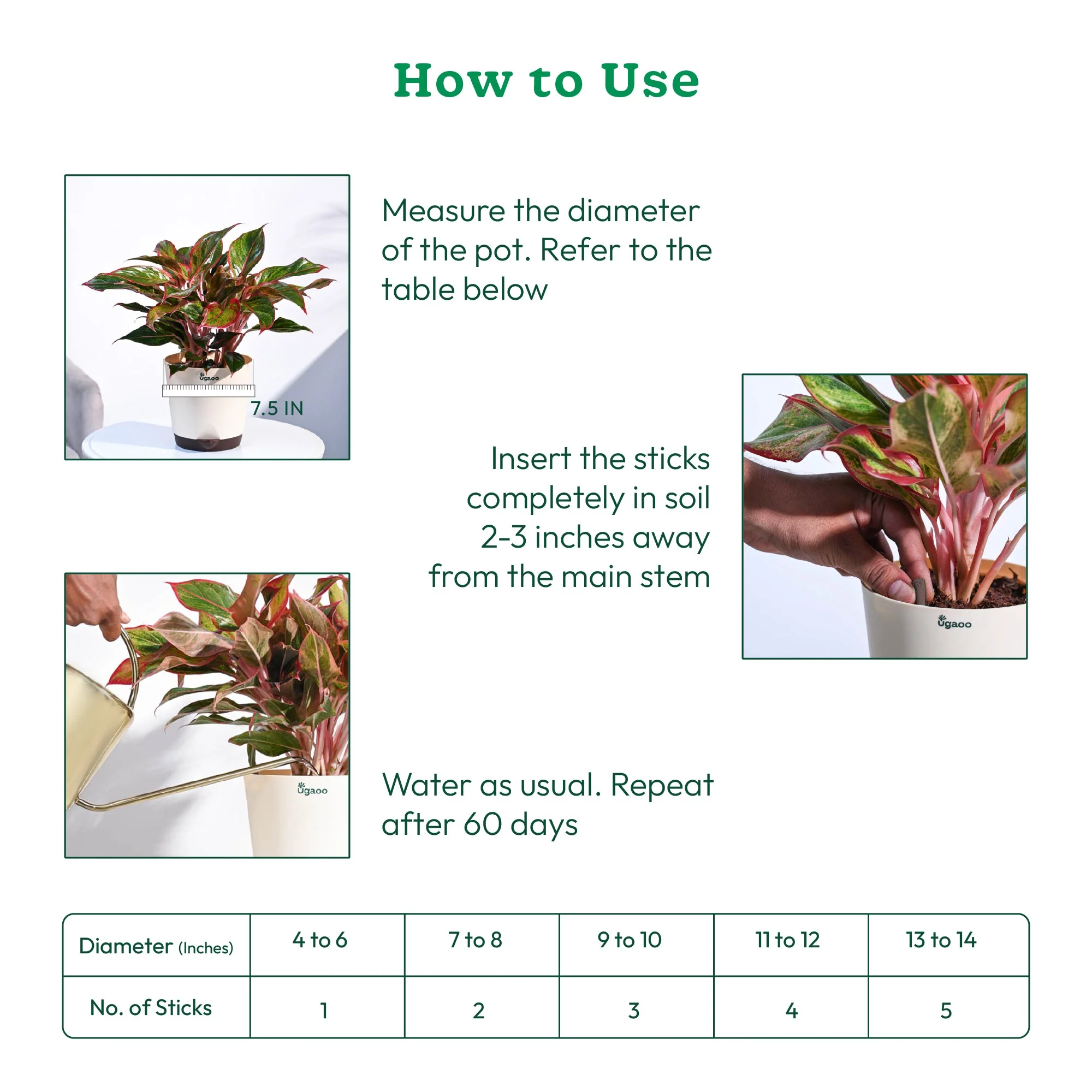 Plant Food Fertilizer Sticks - Rootmaster - Image 4