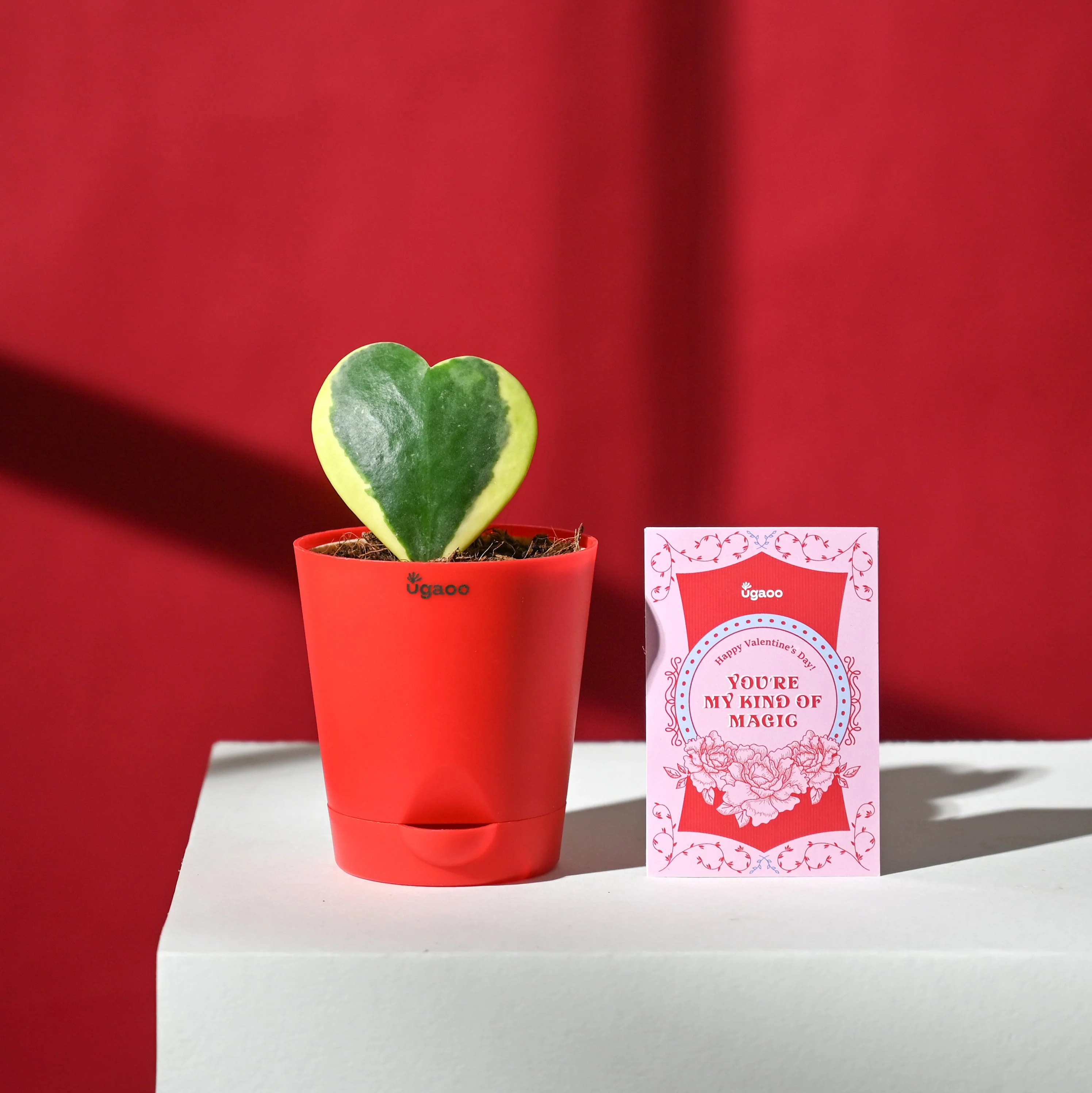 Pure Hearts Hamper - Image 9