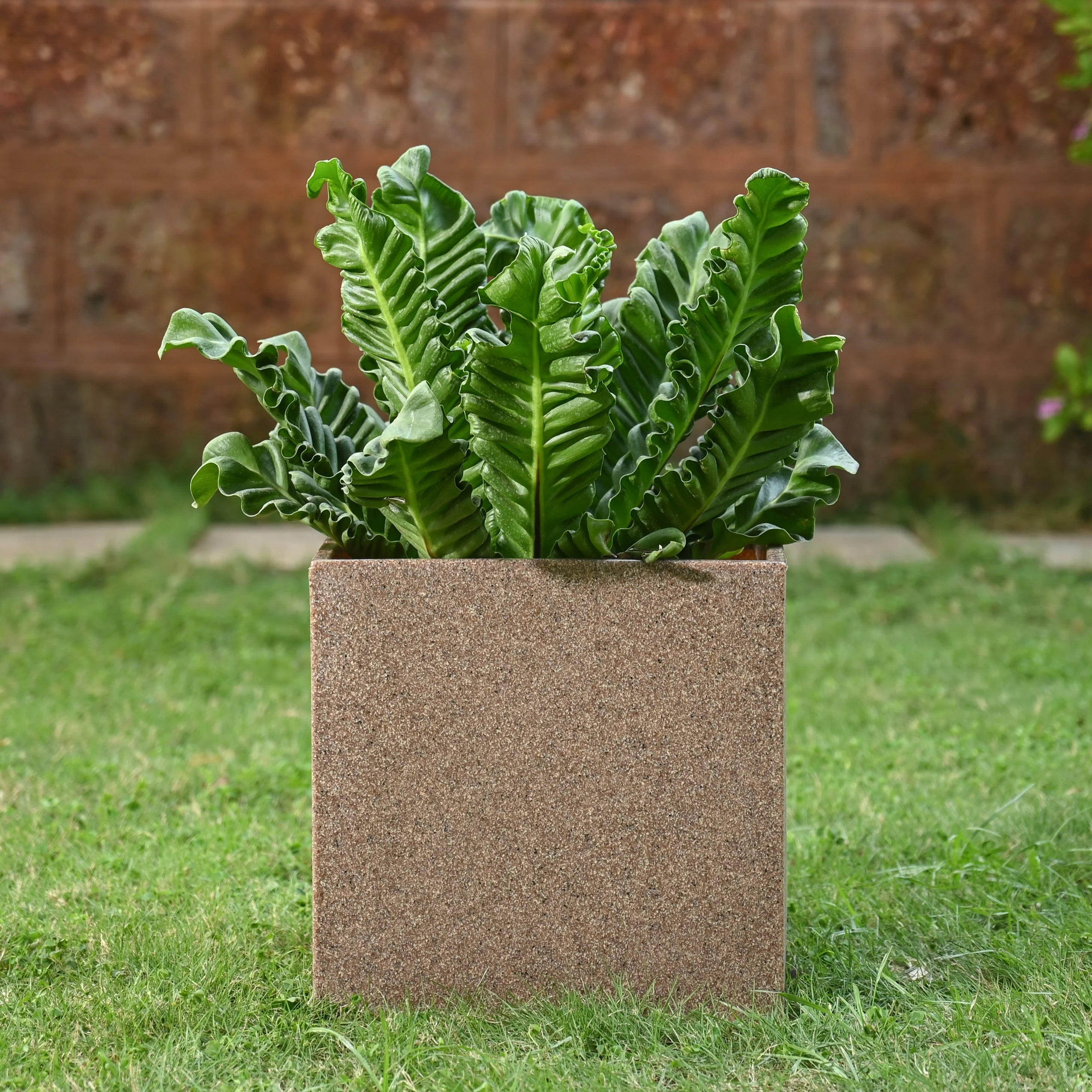 Qubec Planter - Image 20
