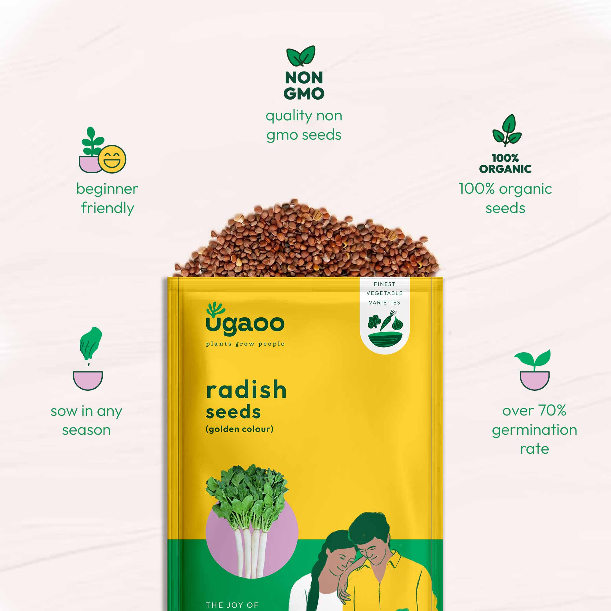 Radish Golden Seeds (Pusa Chatki) - Image 15