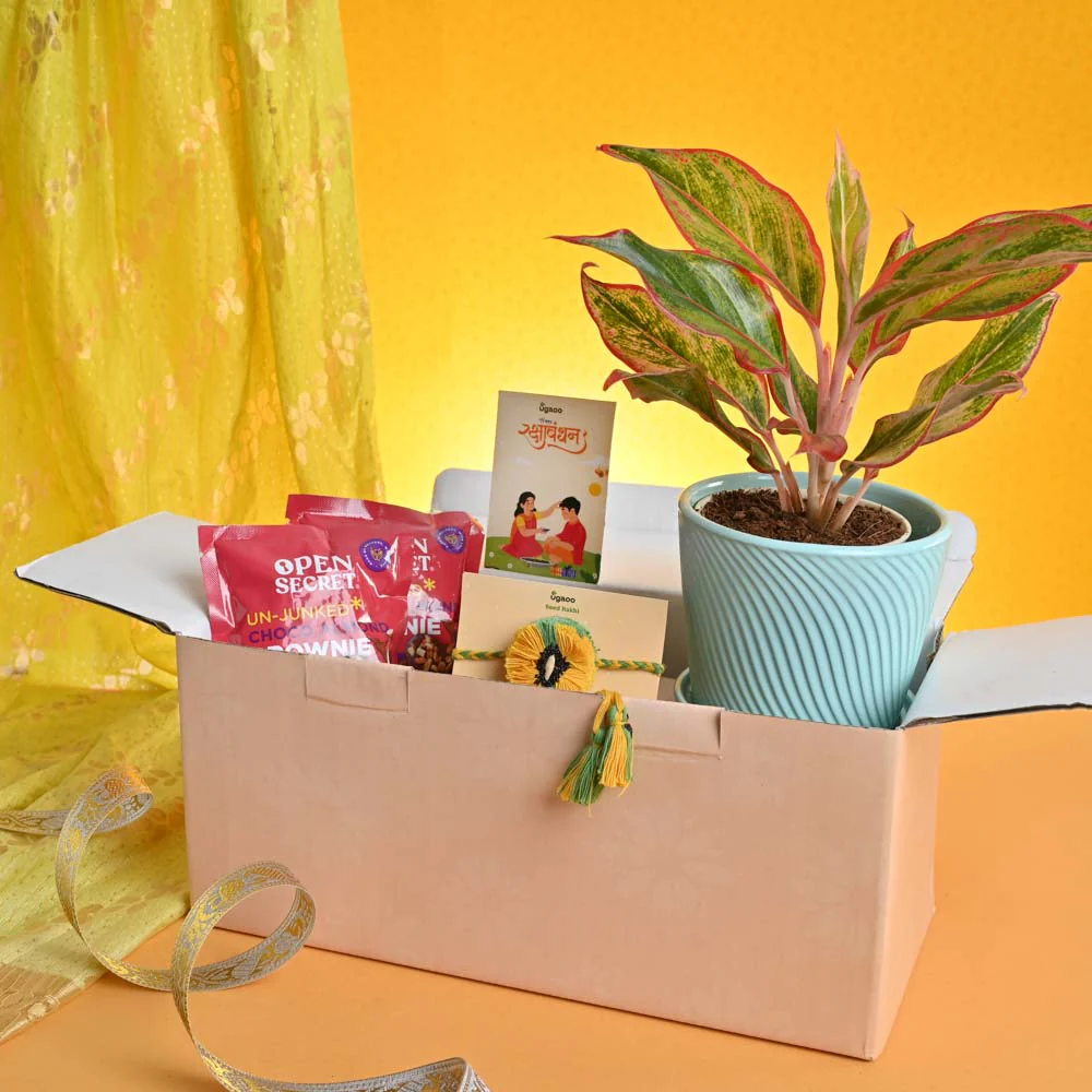 Rakhi Gift for Brother - Agalonema Red with Best Brother Momento and Brownie - Image 8