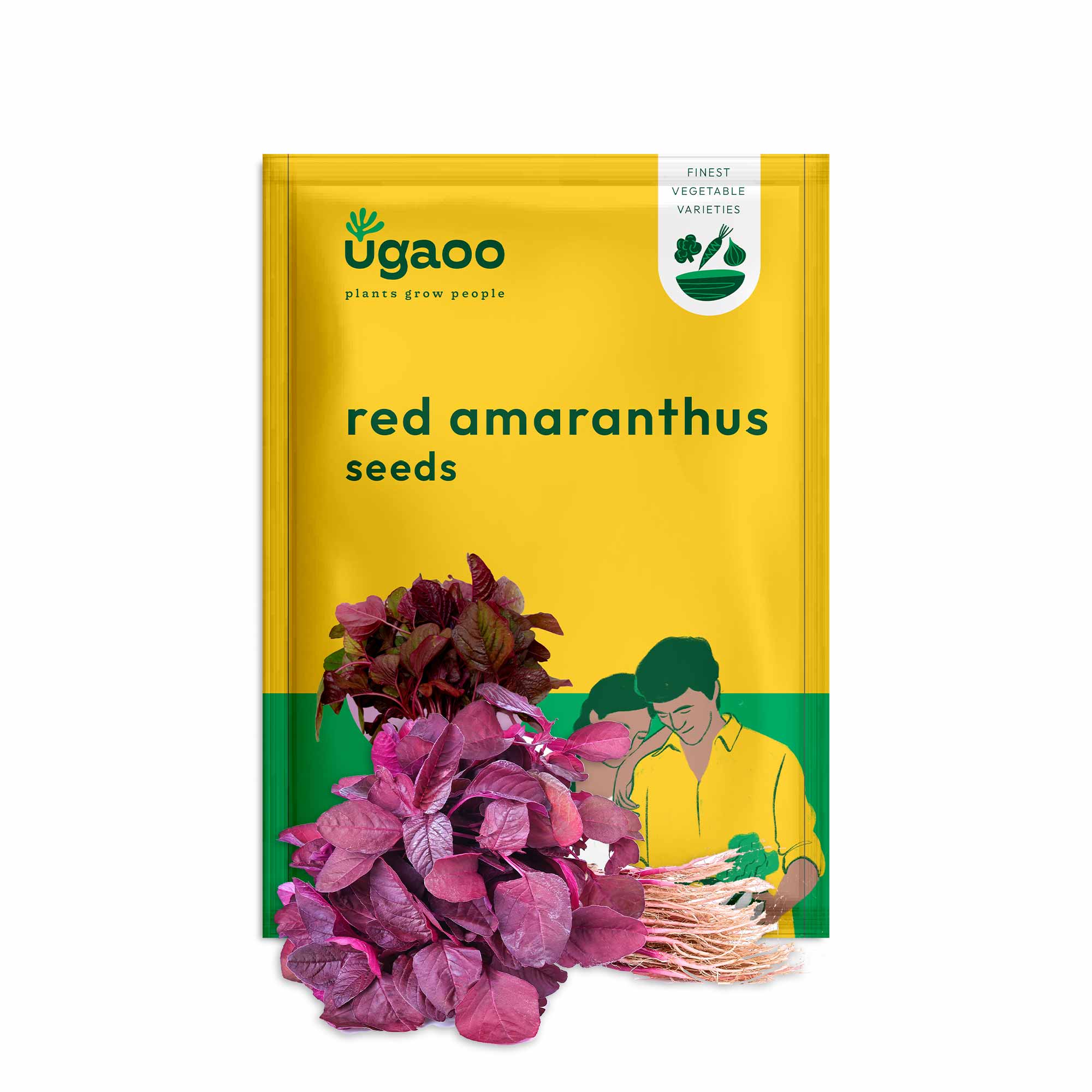 Red Amaranthus Seeds (Red Math) - Image 11