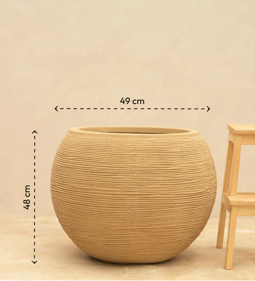 Rib Bowl Planter - Image 25