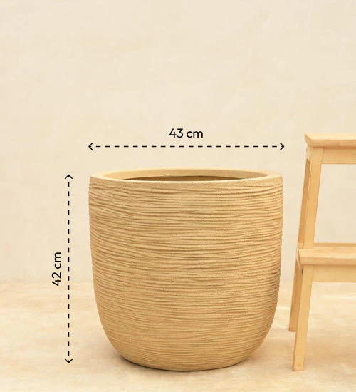 Rib Short Planter - Image 13