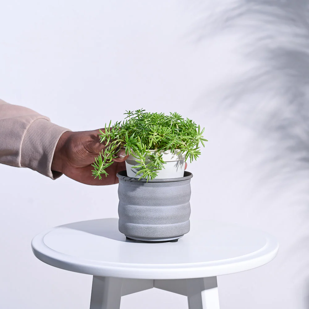 RidgeCraft Cylindrical Planter - Image 7