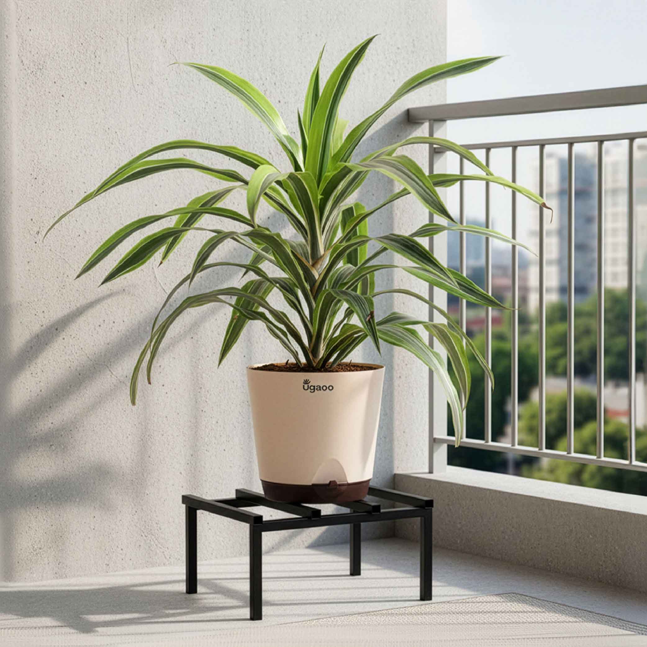Rolling Plant Stand - Black - Image 31