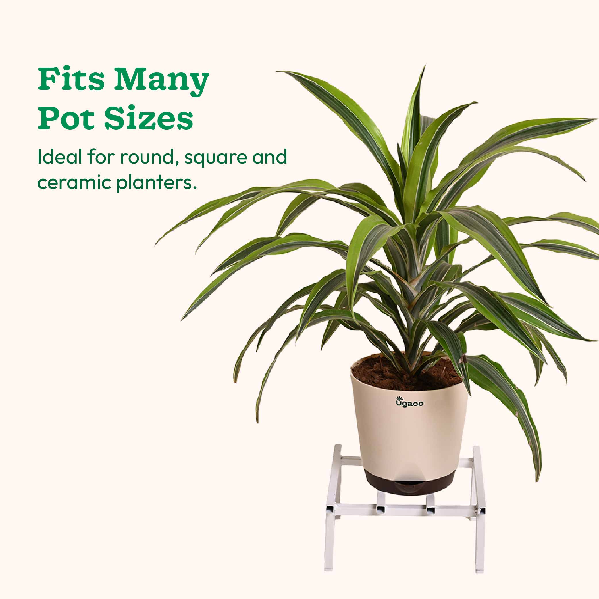 Rolling Plant Stand - White - Image 25