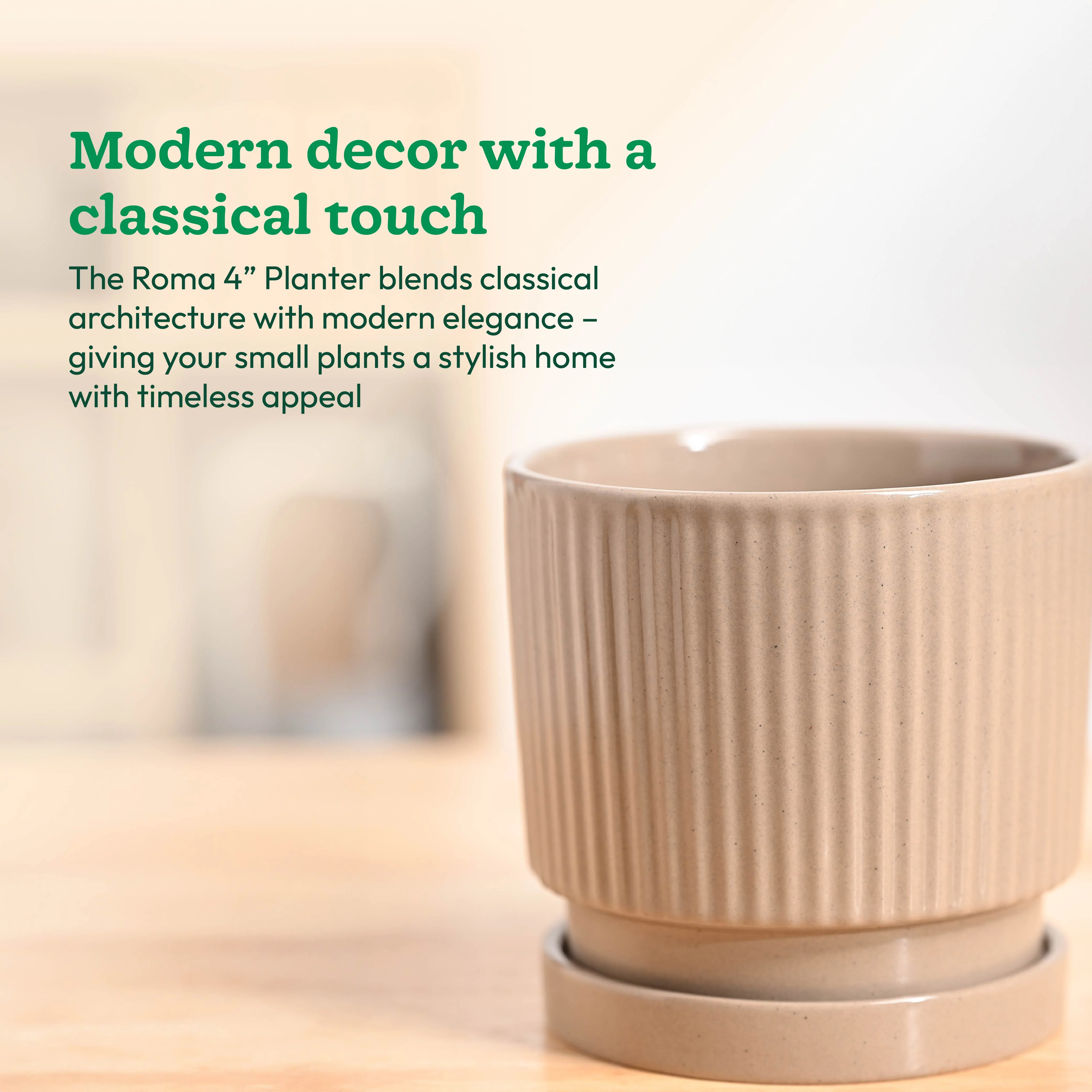Roma Ceramic Pot - Image 12