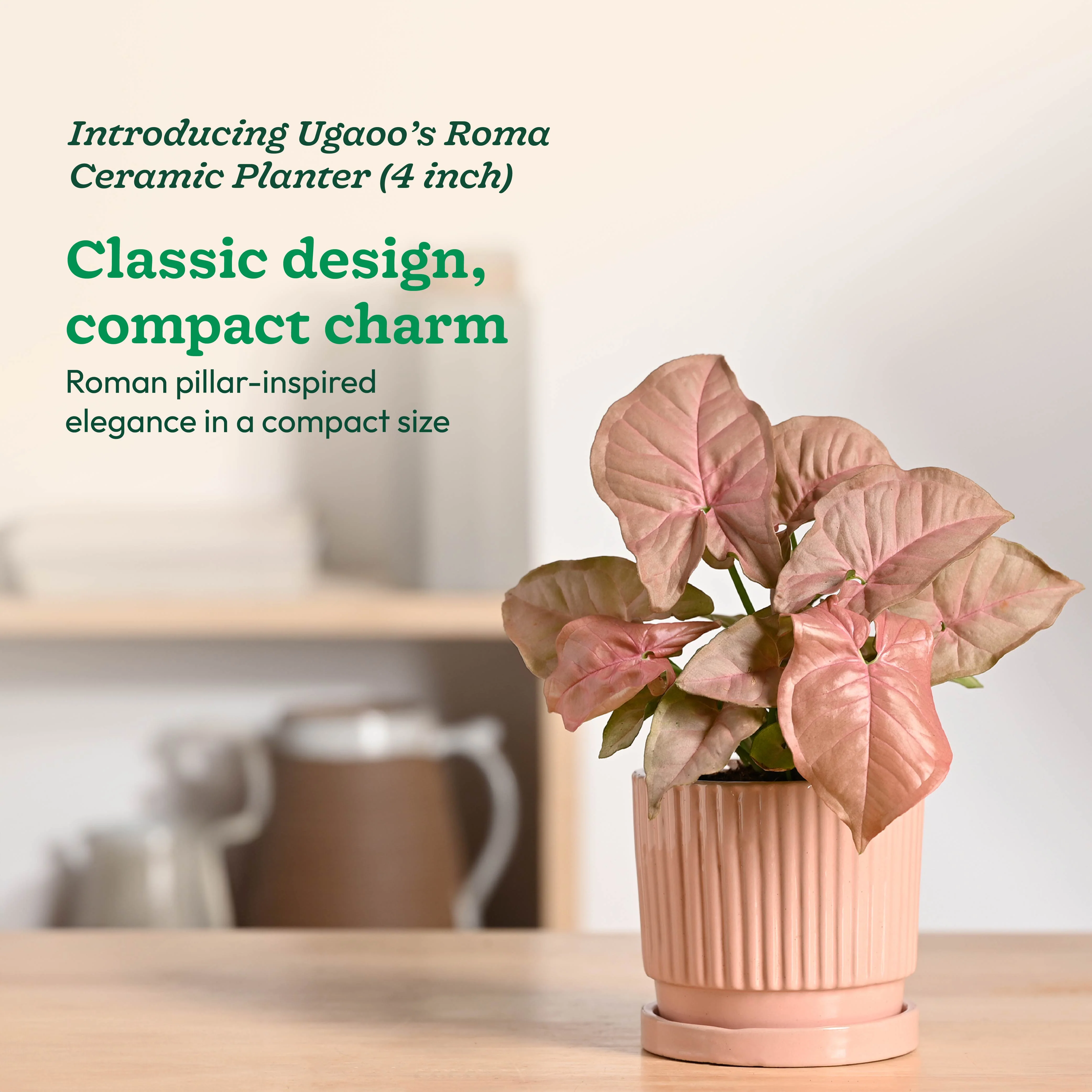 Roma Ceramic Pot - Image 23