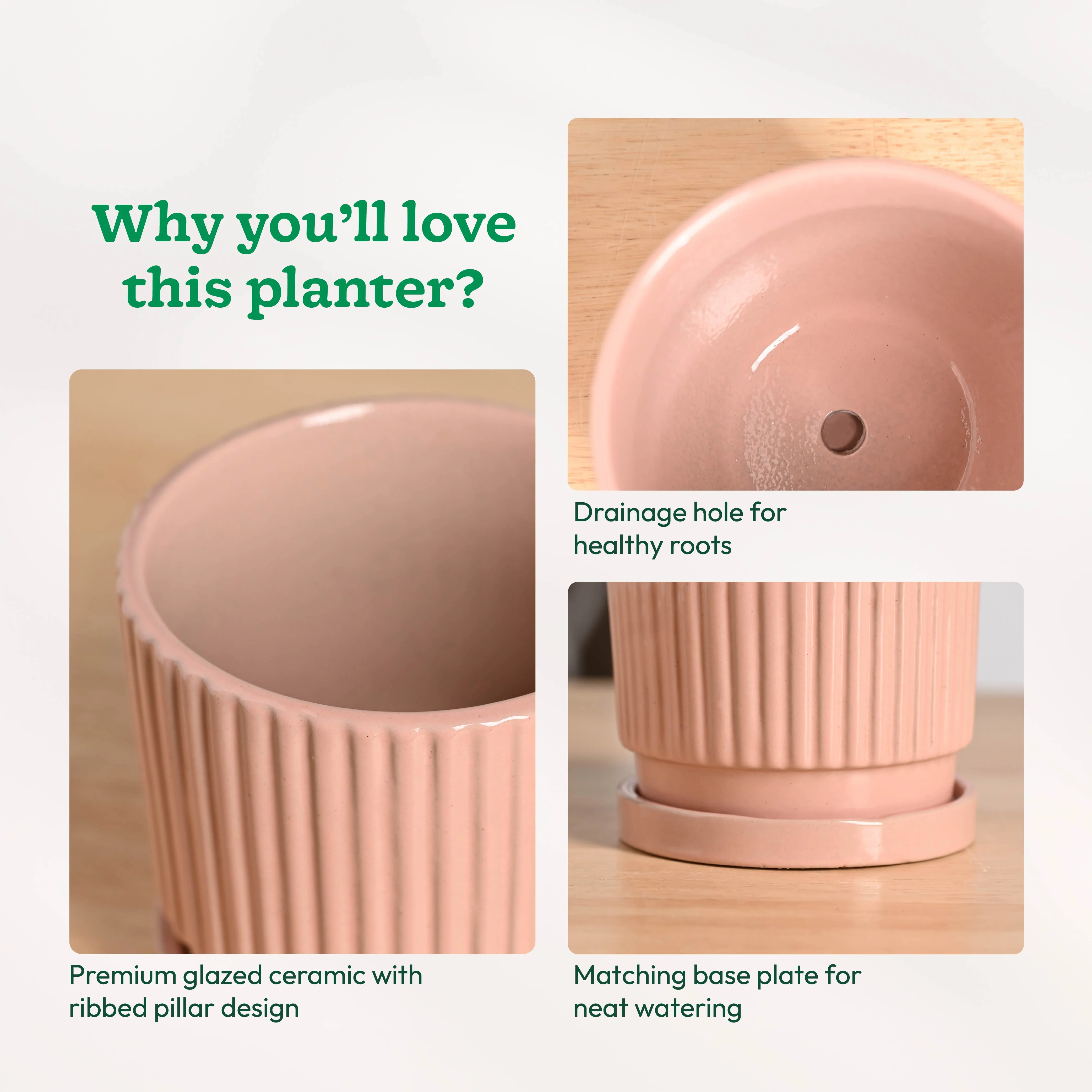 Roma Ceramic Pot - Image 25
