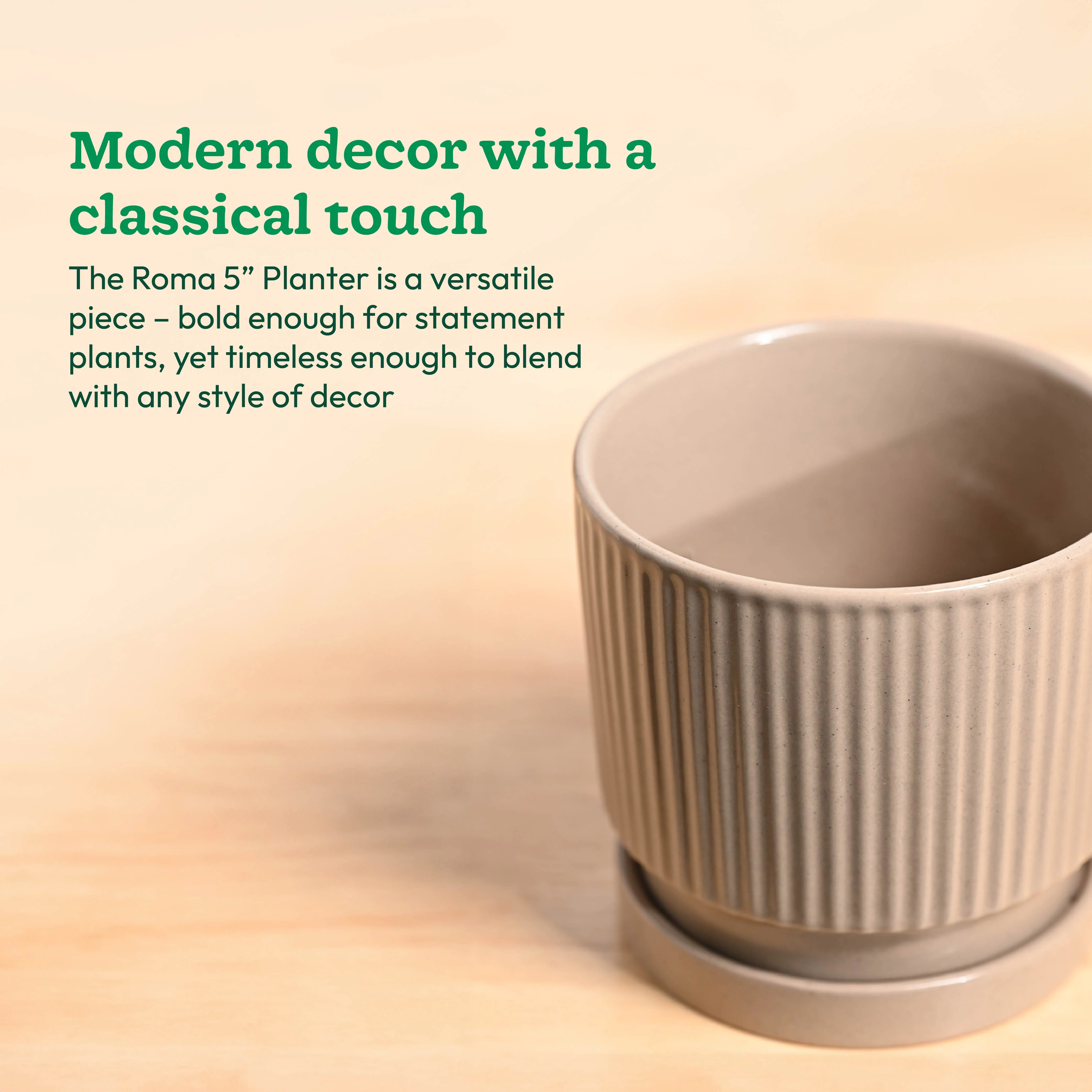 Roma Ceramic Pot - Image 41