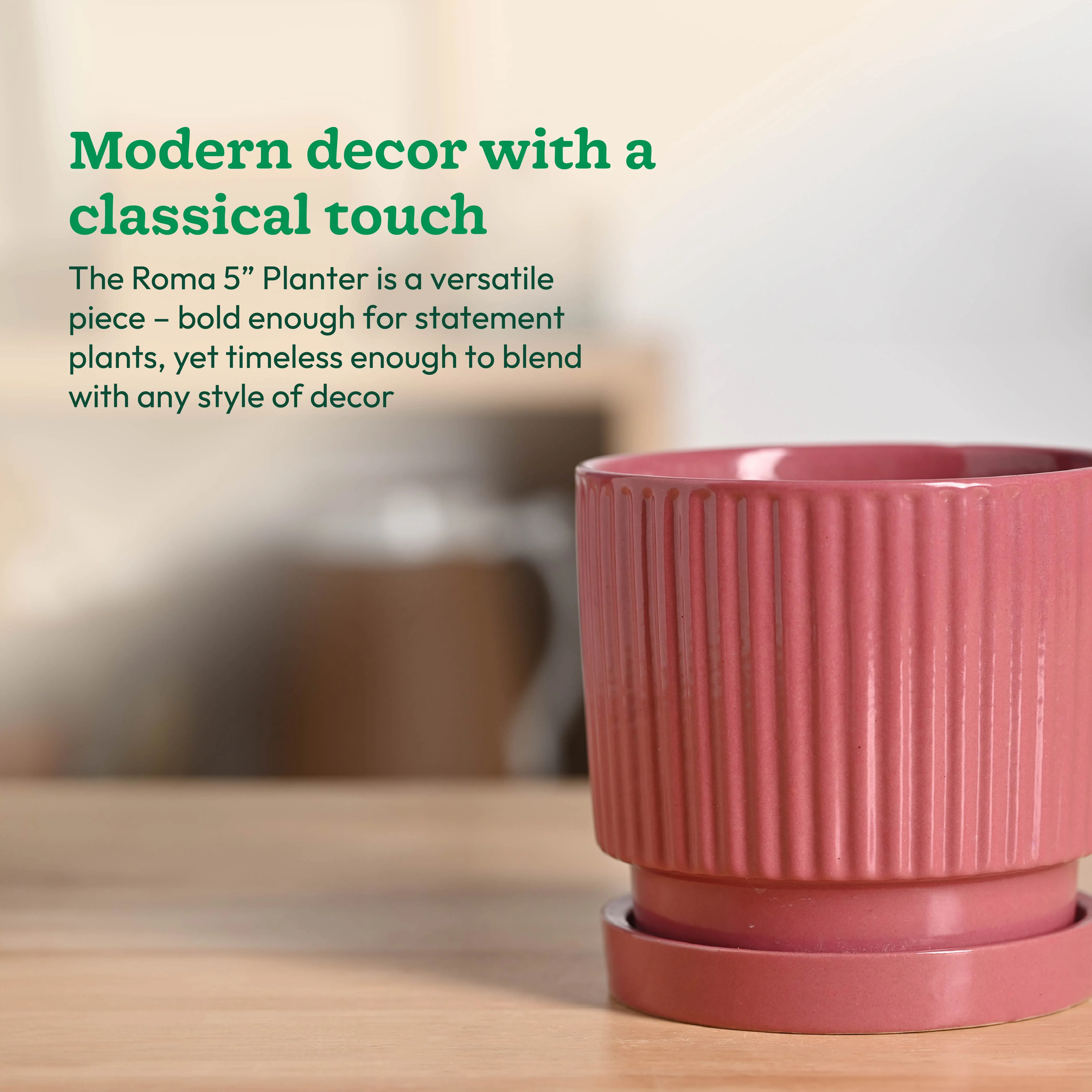 Roma Ceramic Pot - Image 46