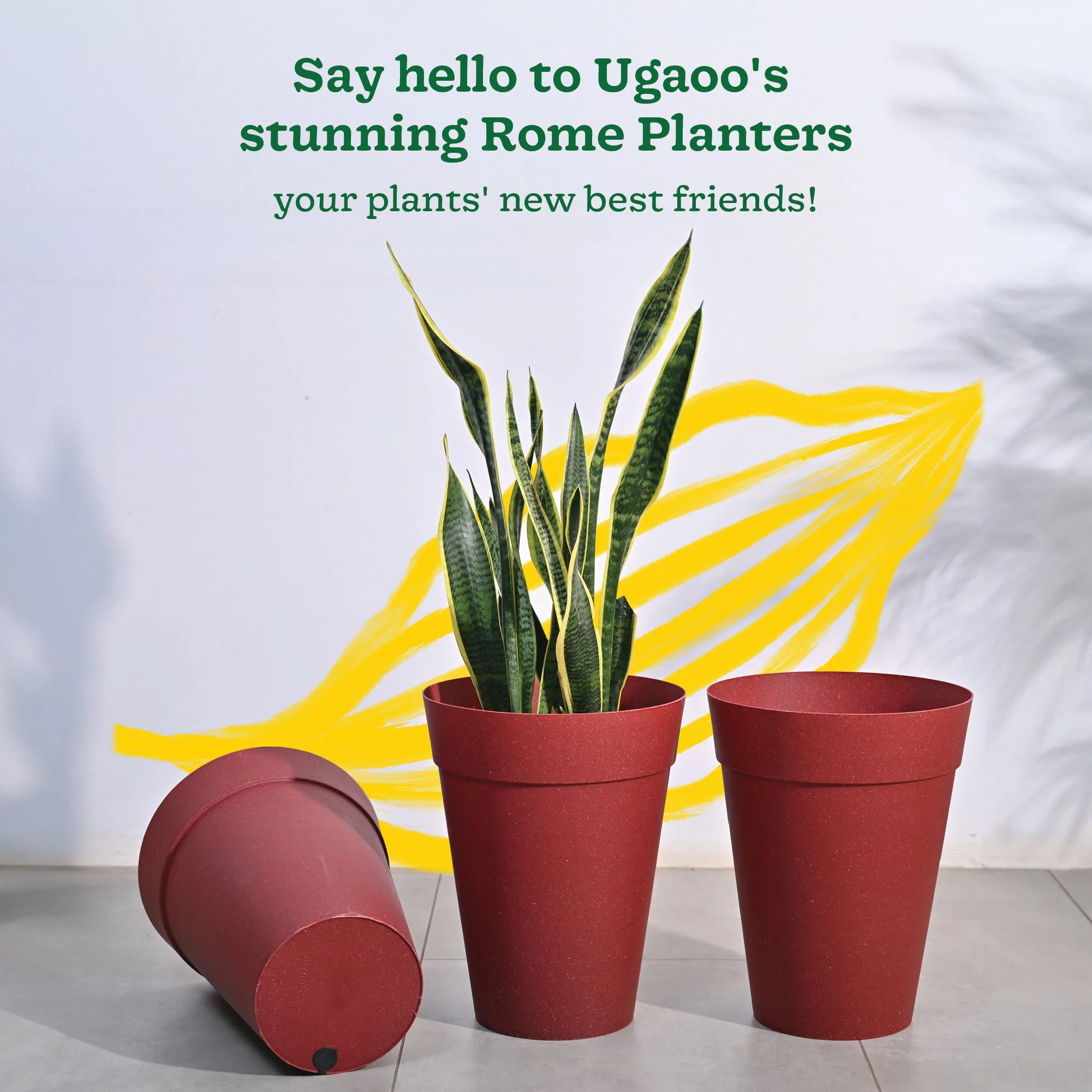 Rome Plastic Planter - Image 116