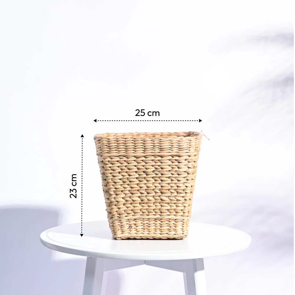Seagrass Planter - Image 12
