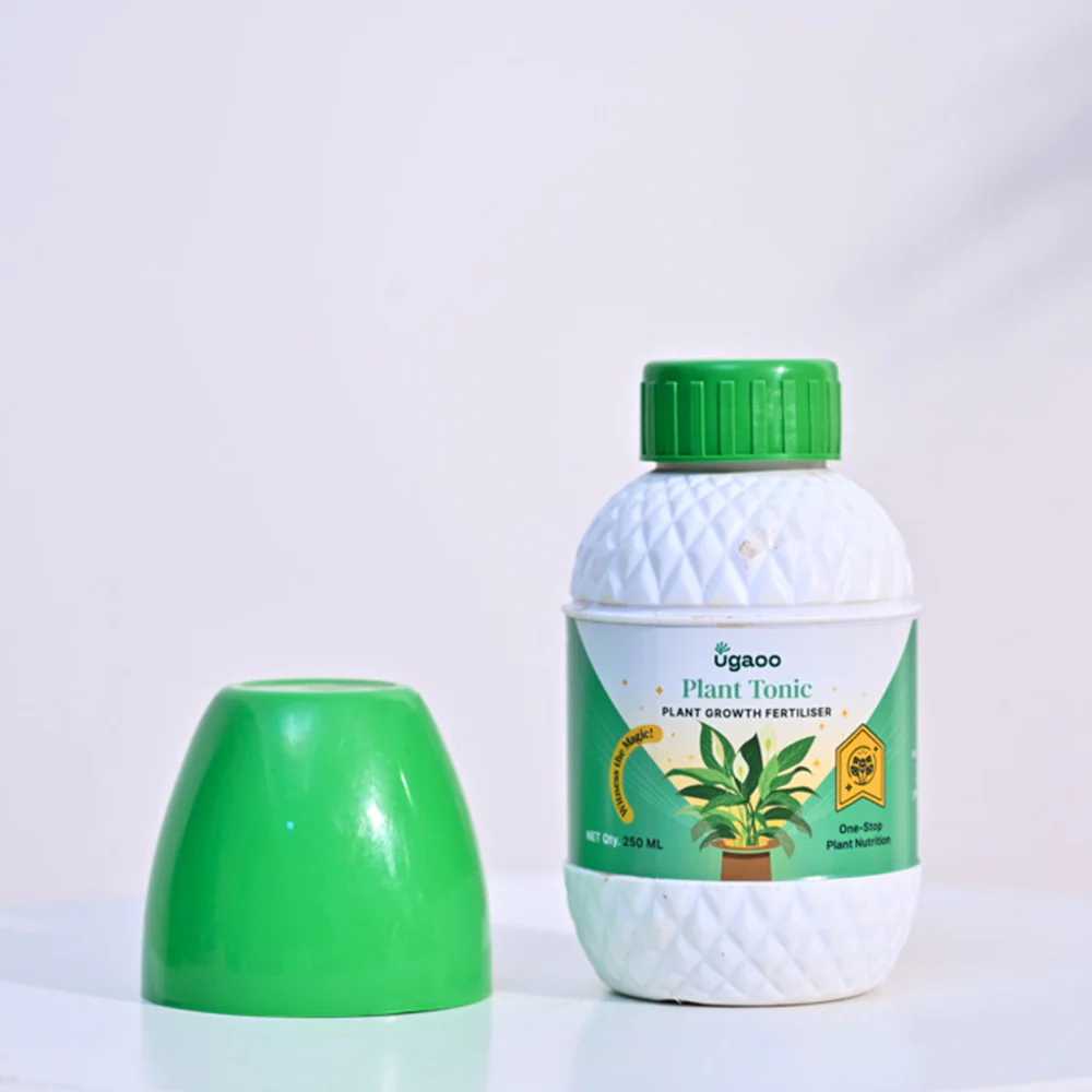 Seaweed Extract Liquid Fertilizer - Plant Tonic 250 ml - Image 4