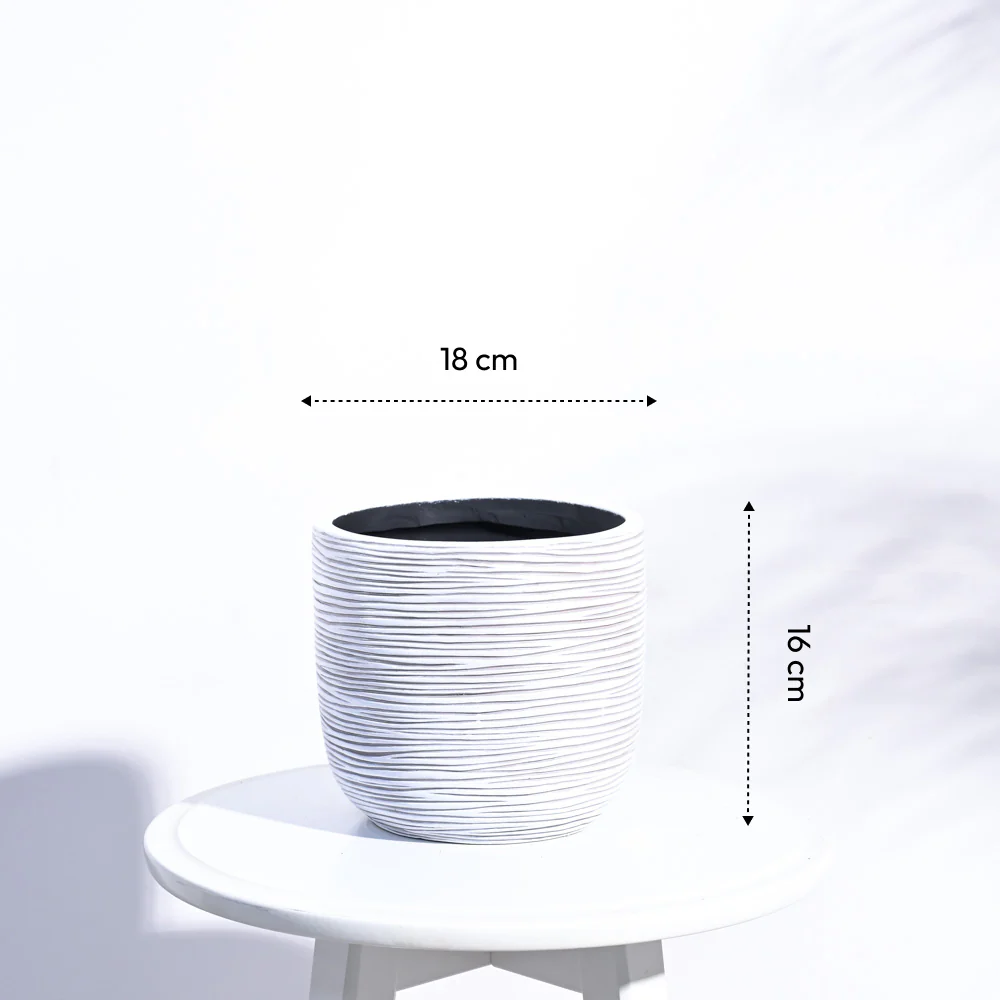 Zuri Planter Ball Rib - Image 15