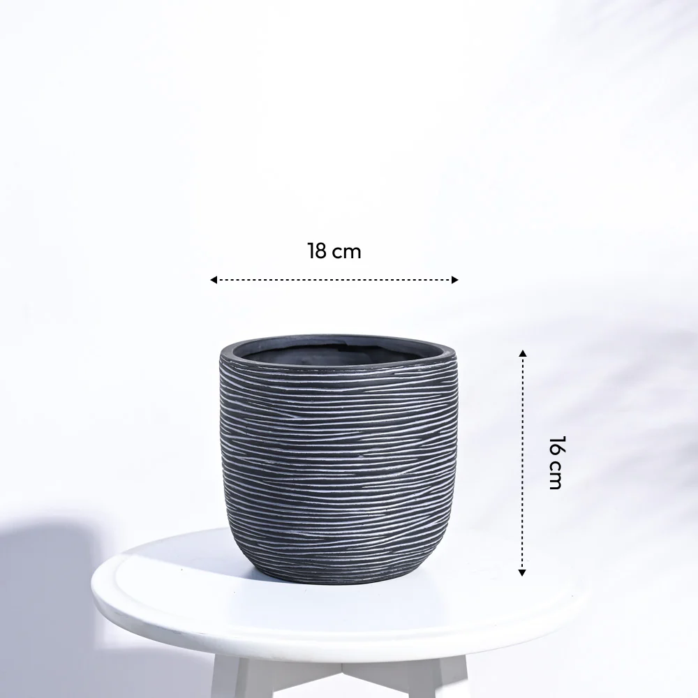Zuri Planter Ball Rib - Image 20