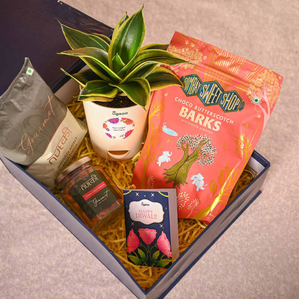 Snake Plant & Bombay Sweet Shop Diwali Gift Hamper - Image 8