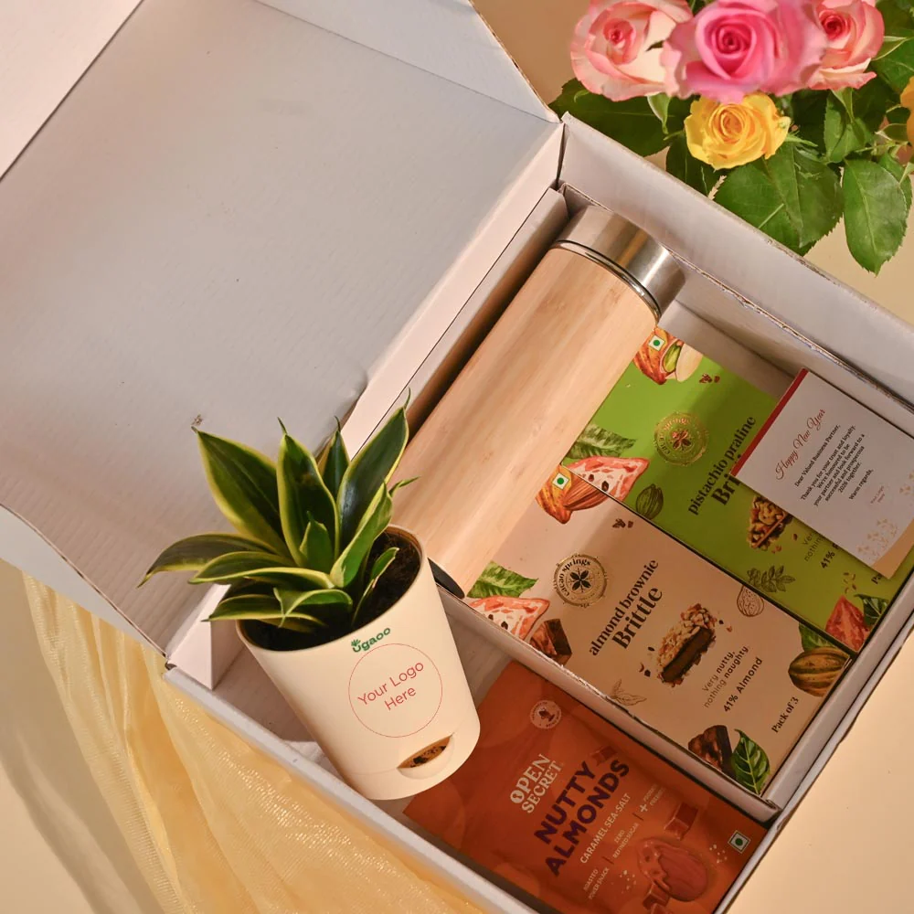 Snake Plant Premium Executive New Year Hamper - Image 11