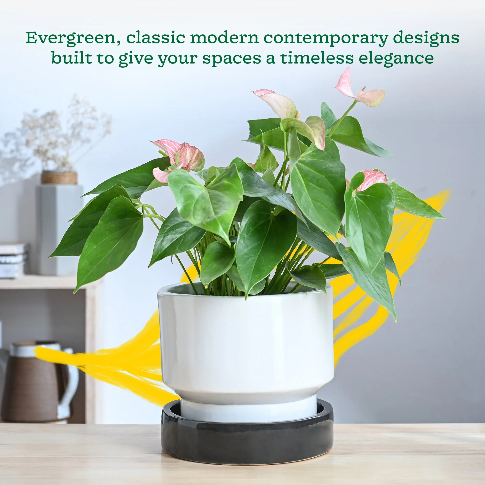 Soothing Rains Ceramic Planters - Image 31