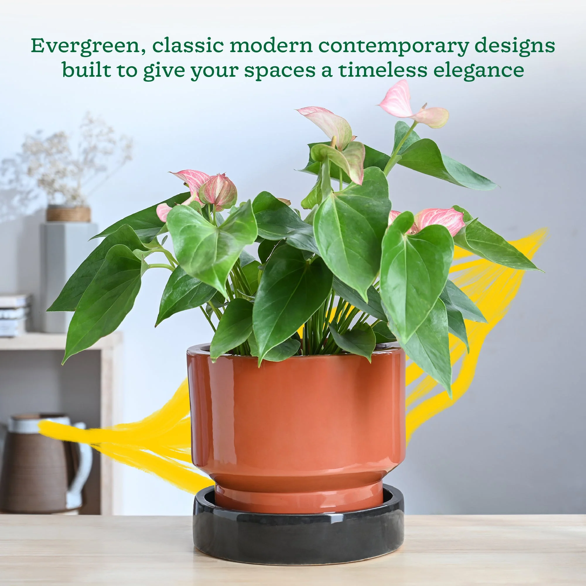 Soothing Rains Ceramic Planters - Image 63
