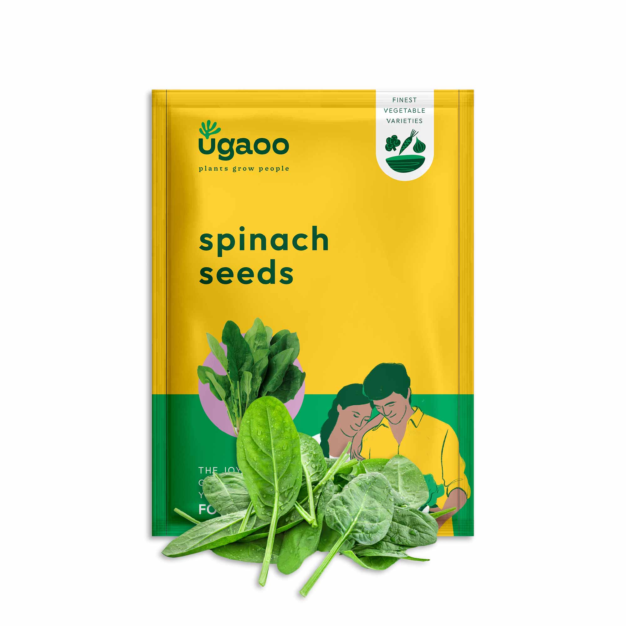 Spinach Seeds (Palak) - Image 20