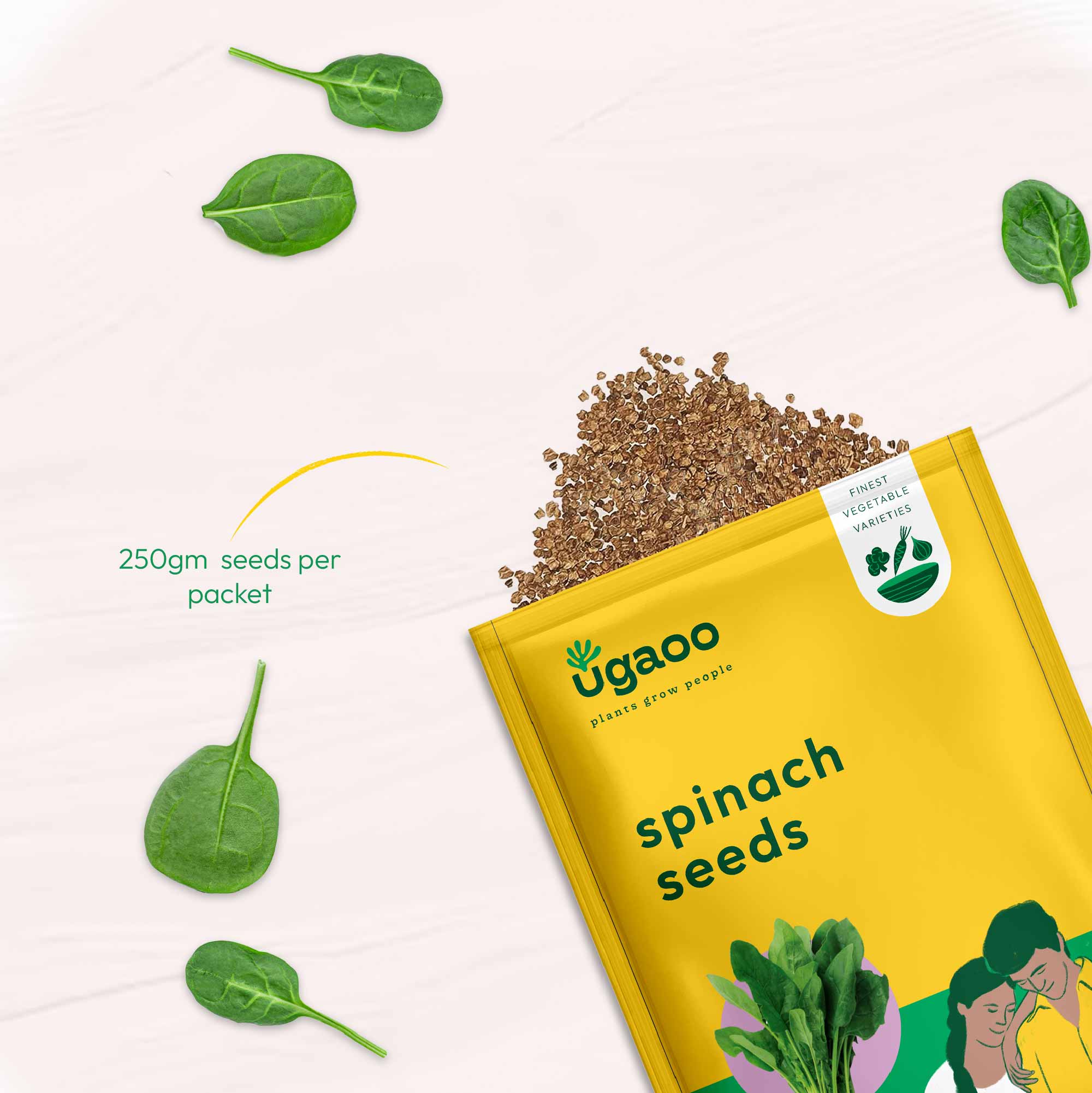 Spinach Seeds (Palak) - Image 21