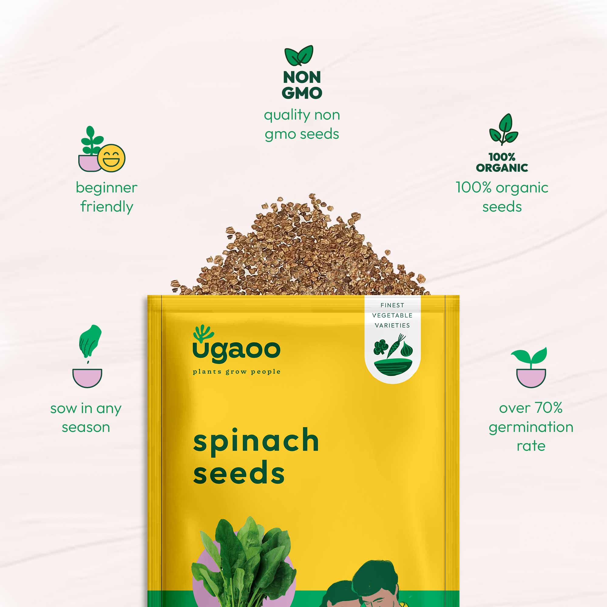 Spinach Seeds (Palak) - Image 24