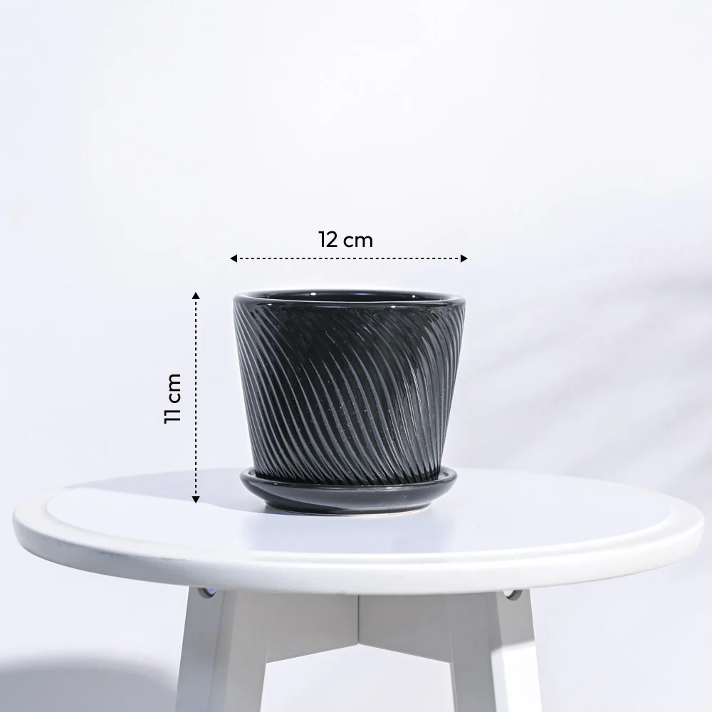 Spiro Ceramic Pot - Image 13