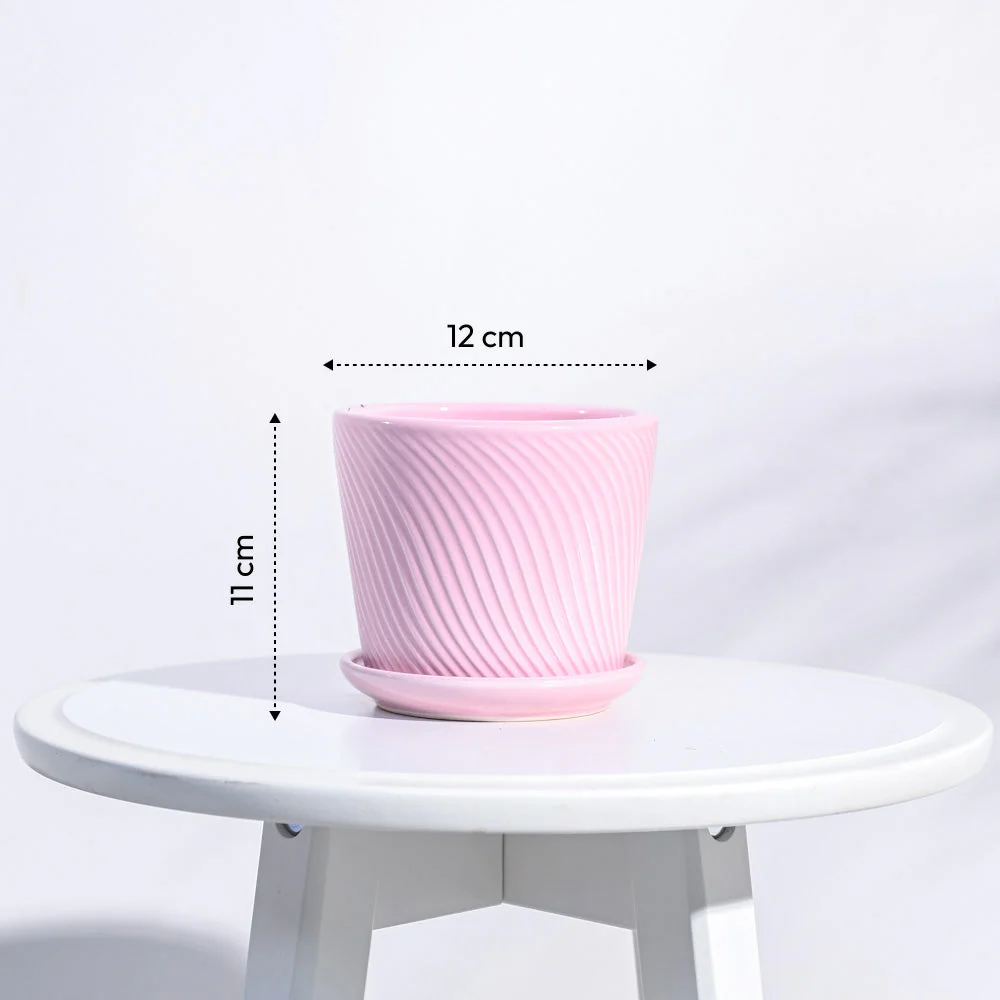 Spiro Ceramic Pot - Image 23