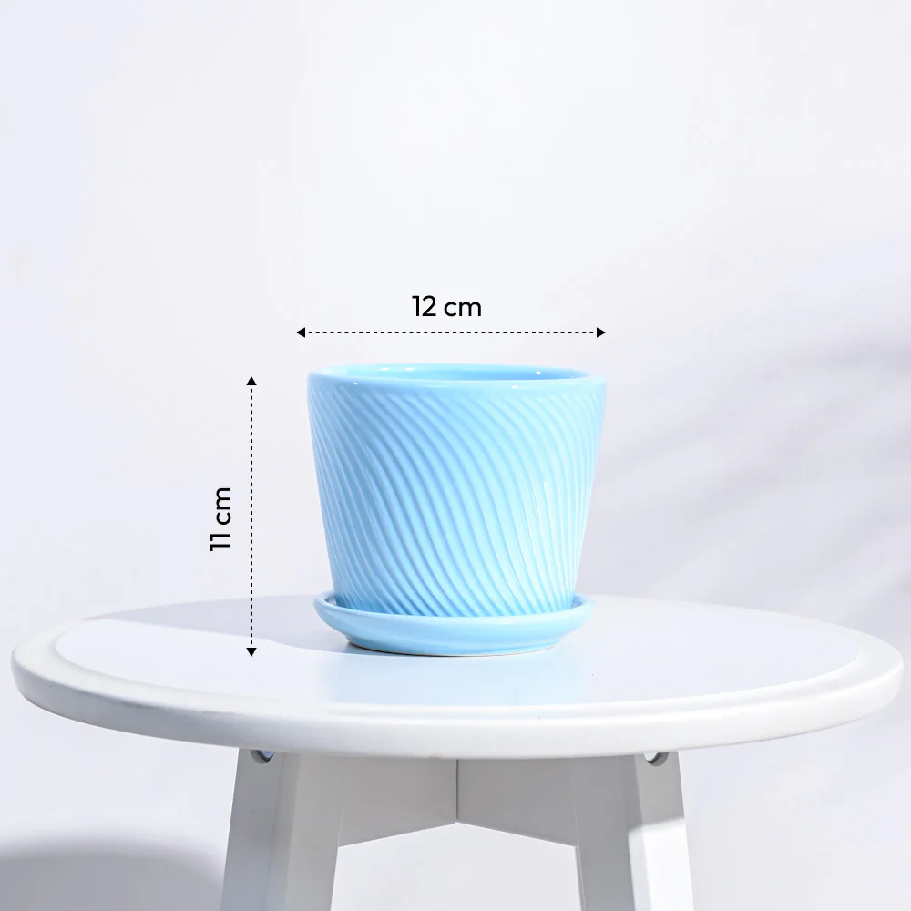 Spiro Ceramic Pot - Image 28