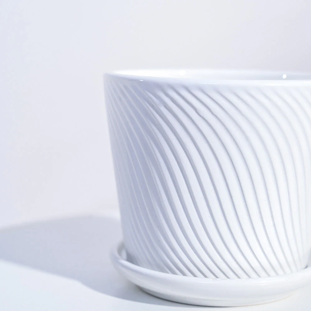 Spiro Ceramic Pot - Image 5