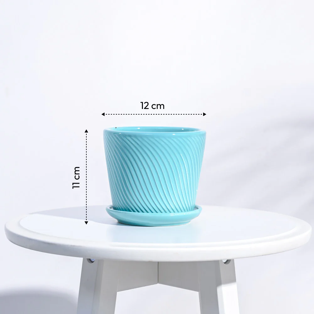 Spiro Ceramic Pot - Image 8