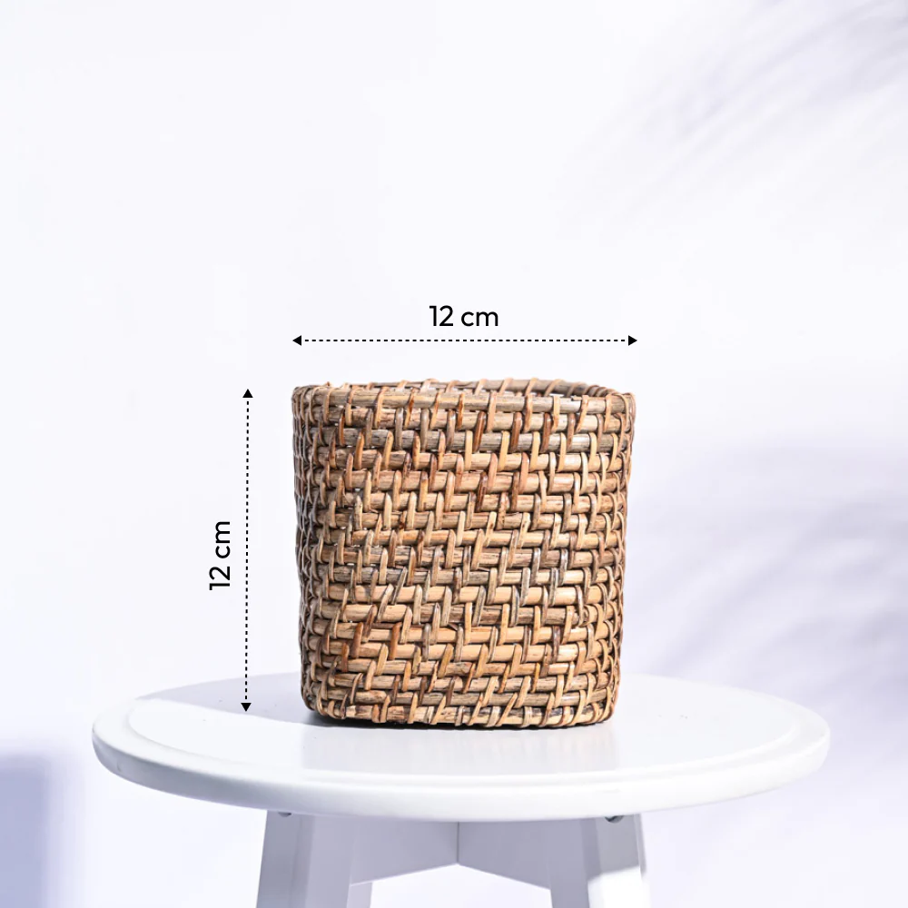Square Cane Planter - Image 18