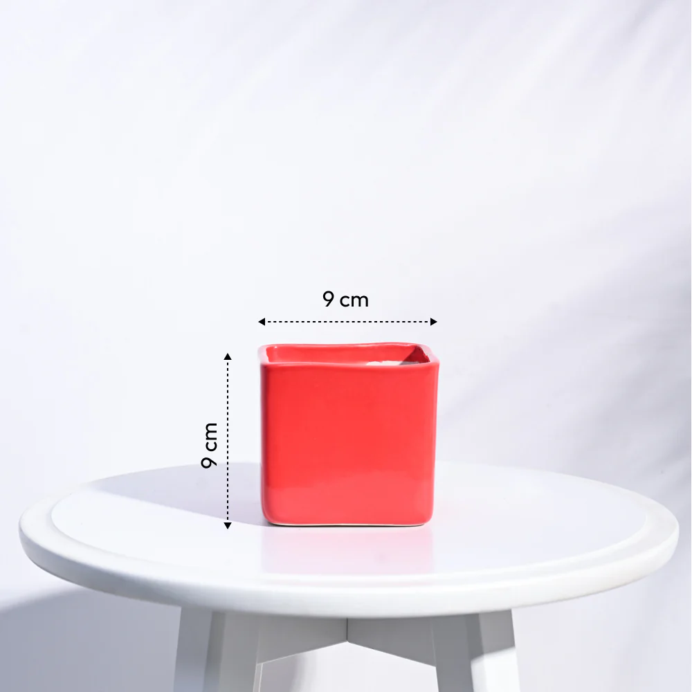 Square Ceramic Pot (3.5 Inch Width) - Image 12