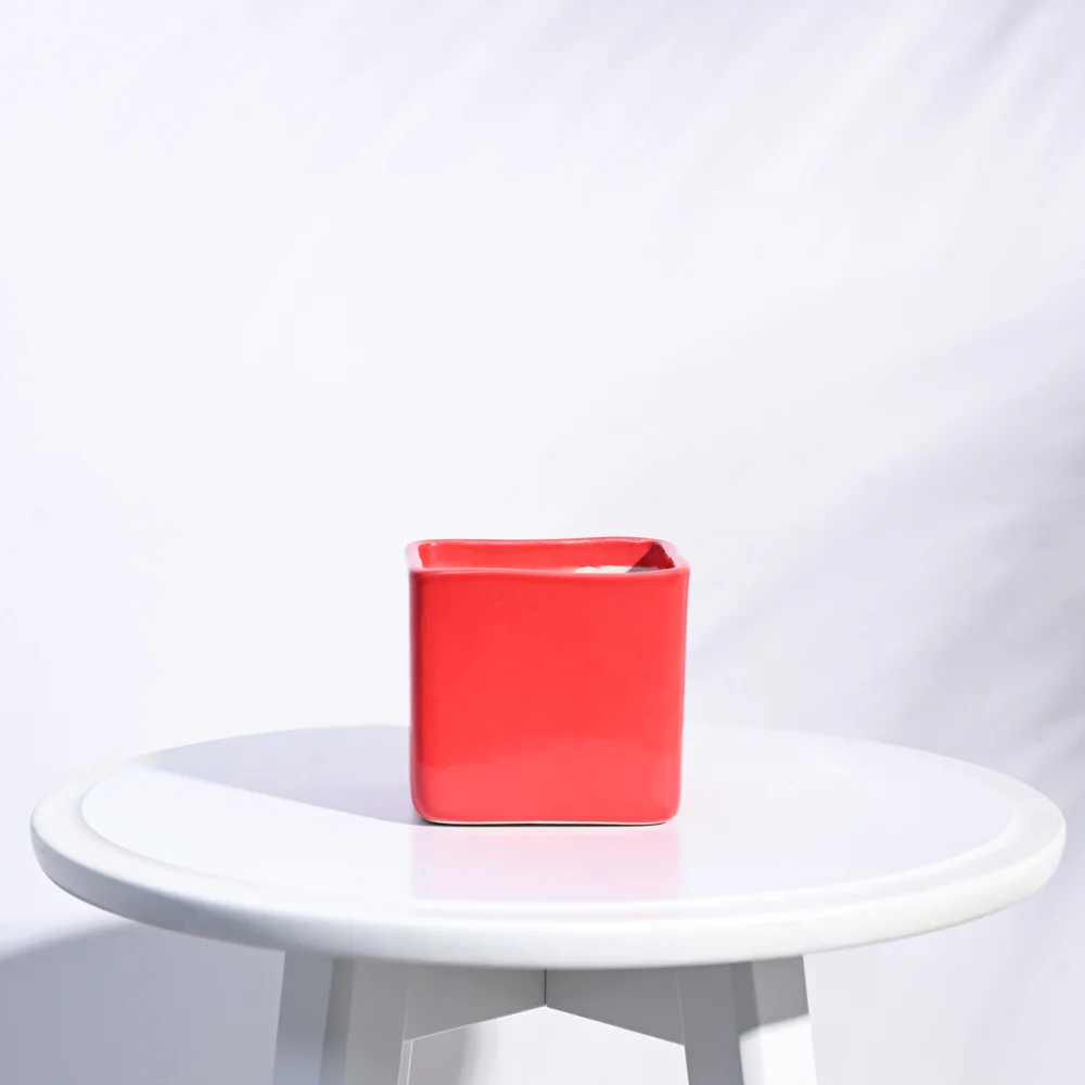 Square Ceramic Pot (3.5 Inch Width) - Image 13