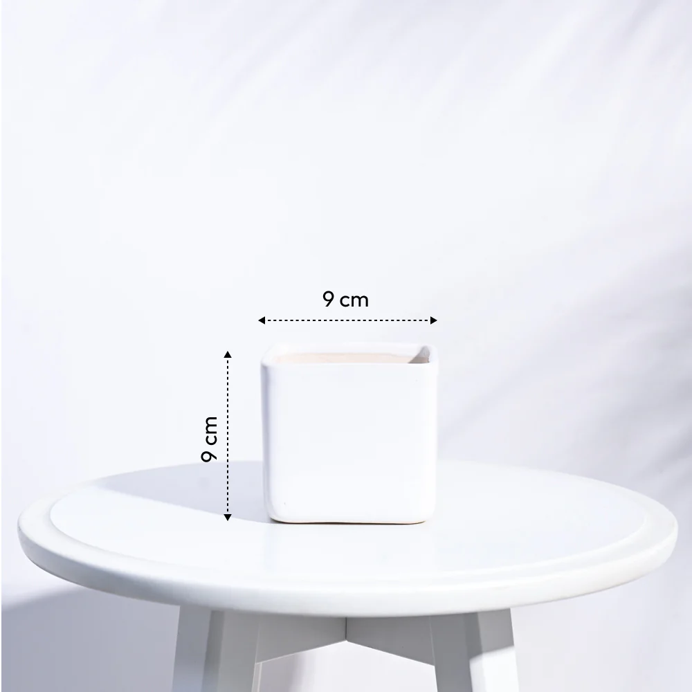 Square Ceramic Pot (3.5 Inch Width) - Image 17