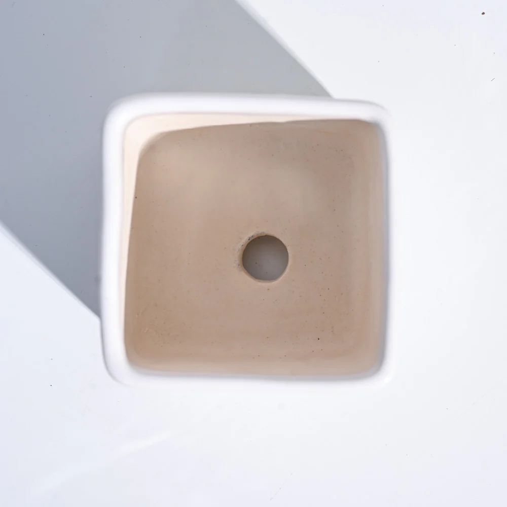 Square Ceramic Pot (3.5 Inch Width) - Image 20