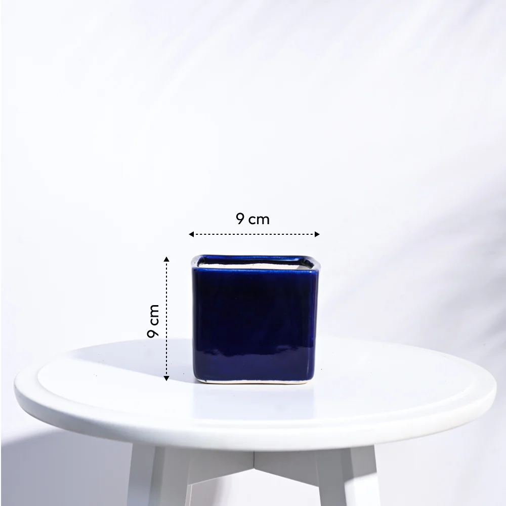 Square Ceramic Pot (3.5 Inch Width) - Image 7