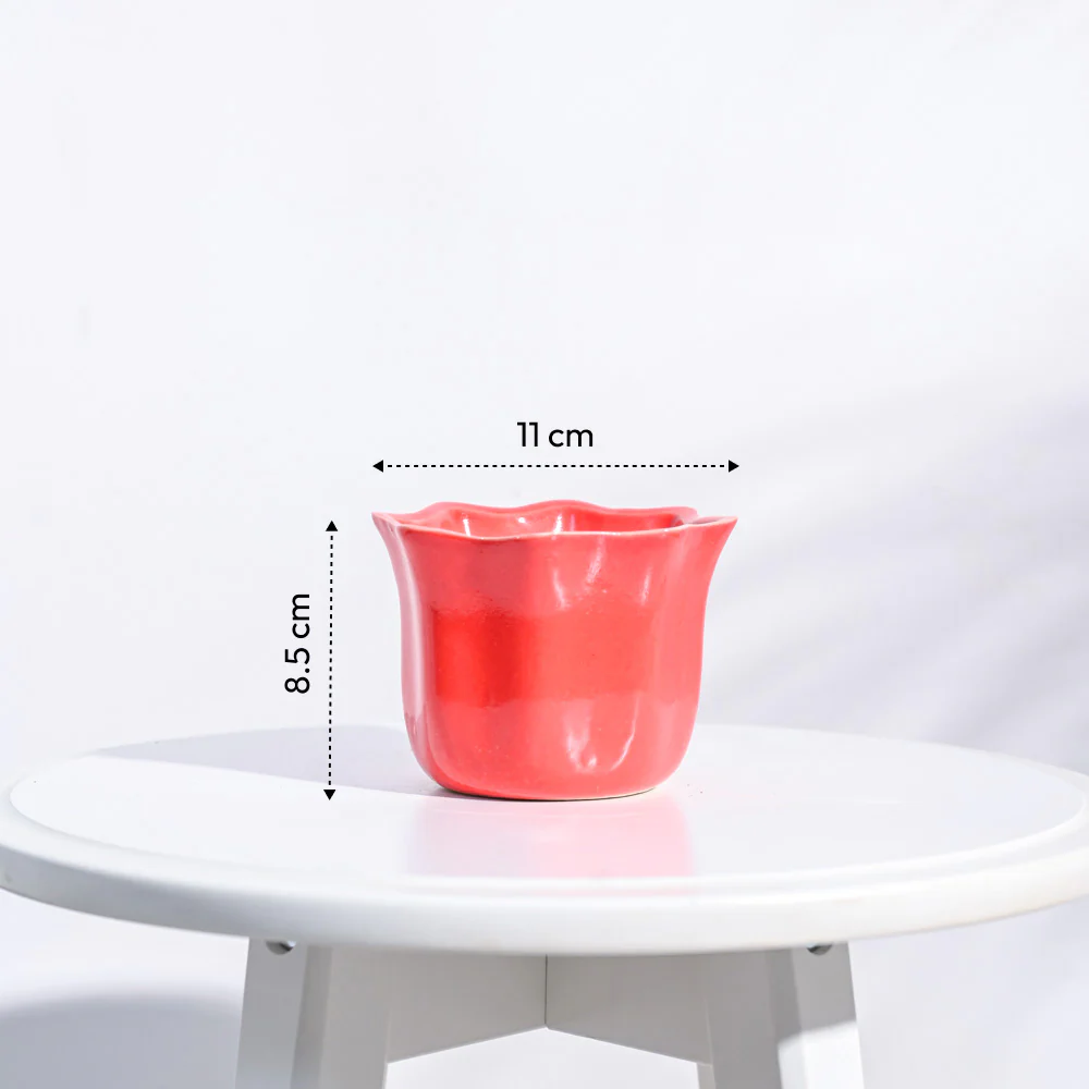 Star Ceramic Pot (4.2 Inch Width) - Image 2