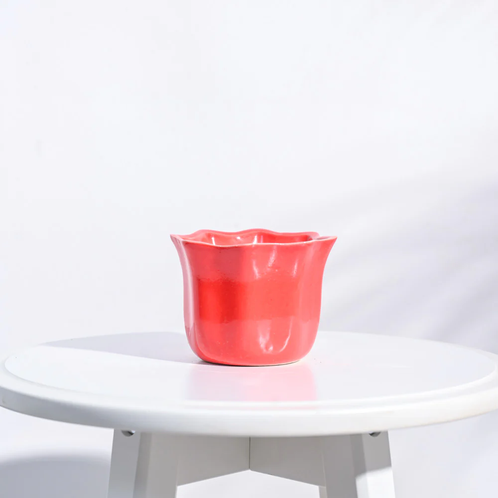 Star Ceramic Pot (4.2 Inch Width) - Image 3