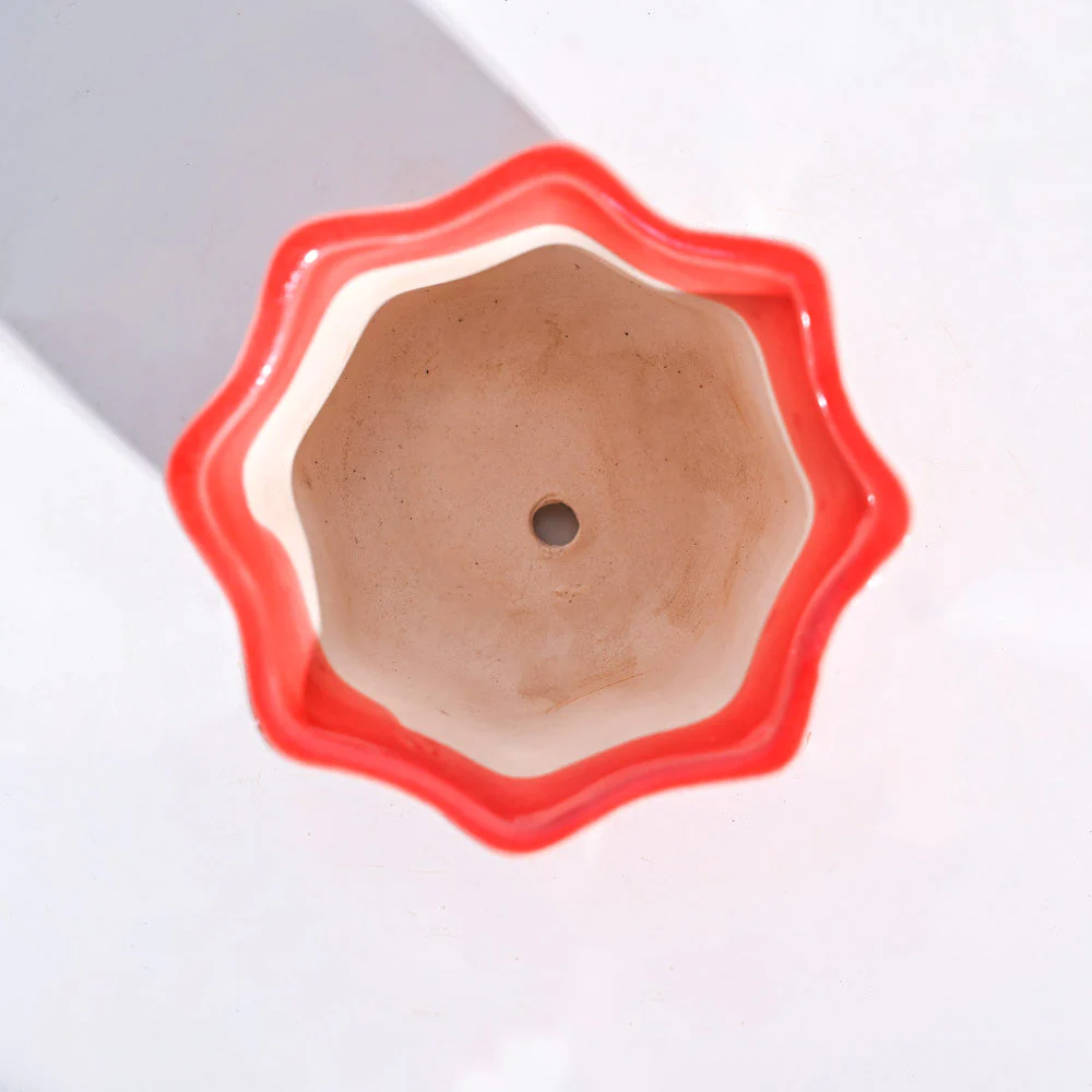 Star Ceramic Pot (4.2 Inch Width) - Image 5