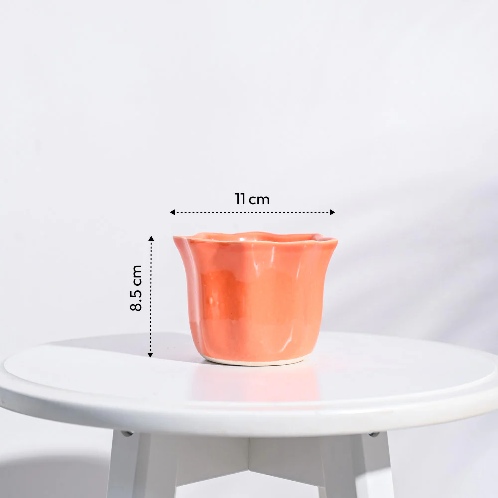 Star Ceramic Pot (4.2 Inch Width) - Image 7