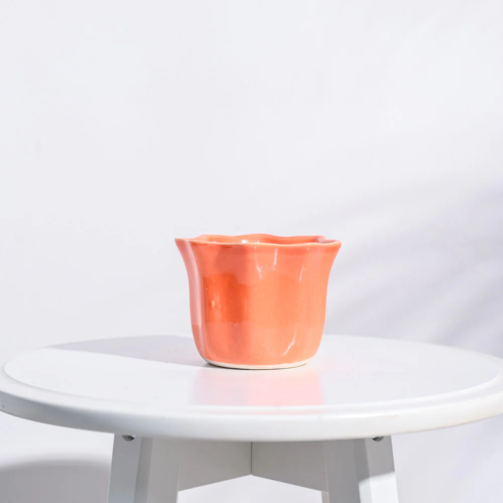 Star Ceramic Pot (4.2 Inch Width) - Image 8