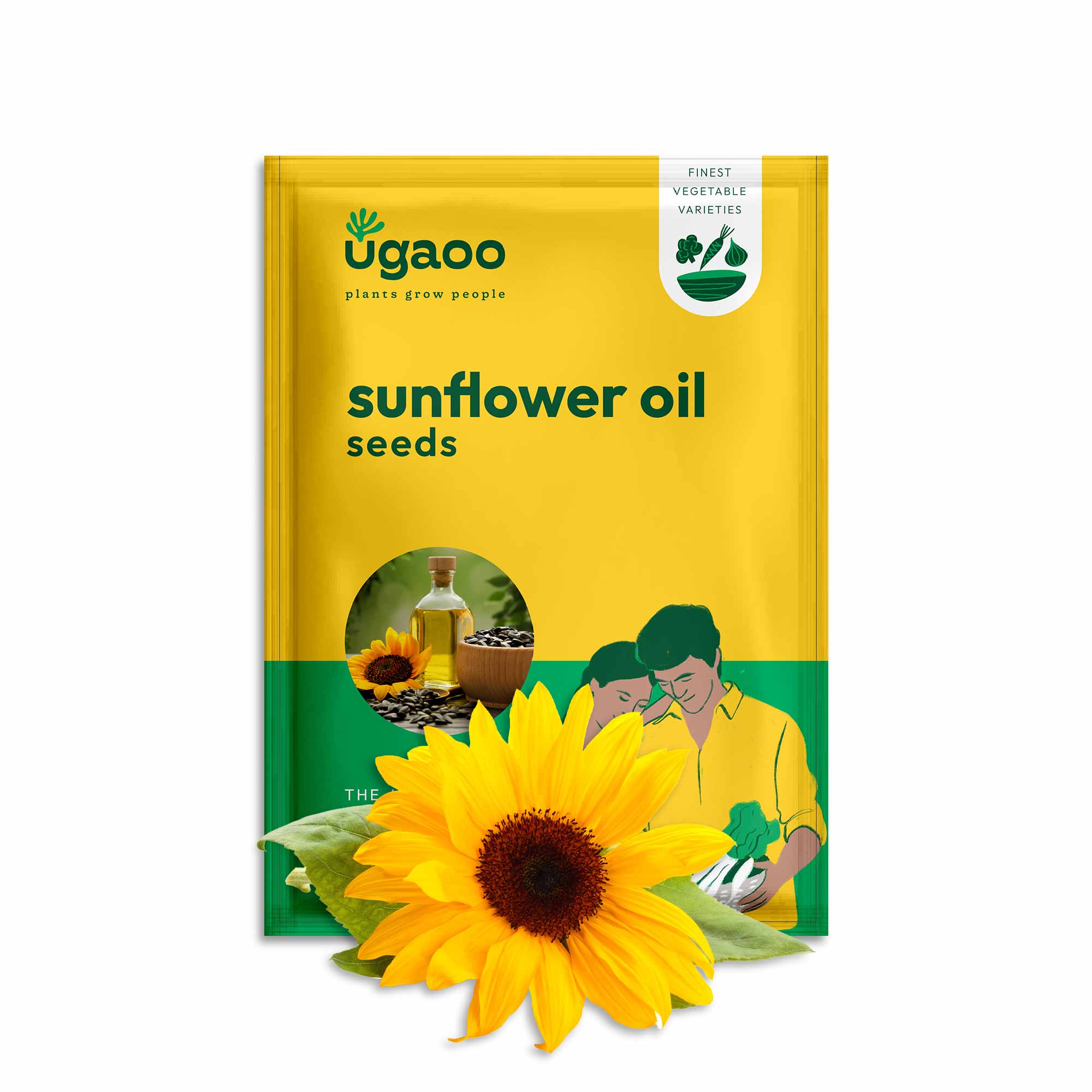 Sunflower Oil Seeds - Image 11